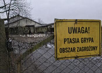 „Pogotowie sanitarne” kraju