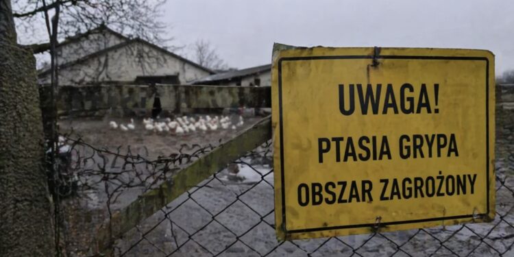 „Pogotowie sanitarne” kraju