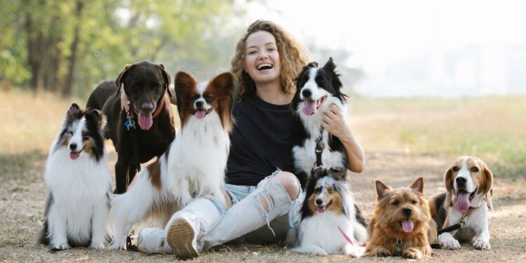 weekend-ktory-zmienia-relacje-z-psem-pierwsza-edycja-psiej-akademii